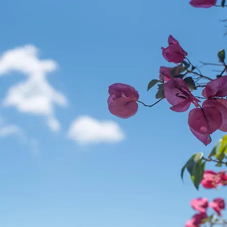 Circe Santa Teresa Gallura
